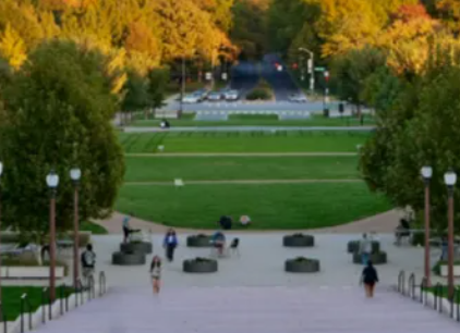 美本申請不定專業